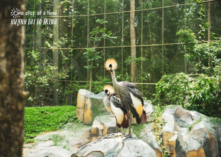 marriage-divorce-lessons-featured